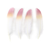 Ten Rose Gradient Goose Feathers 15-20cm