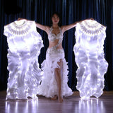 Carnival Led Fan Veils Silk LED Light Bellydance Performance Costumes