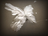 Alice Feather Butterfly Fascinator