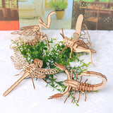 Insects DIY 3D Model Kit Wooden Puzzles
