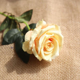 Five Long Stem White Silk Roses Artificial Flowers