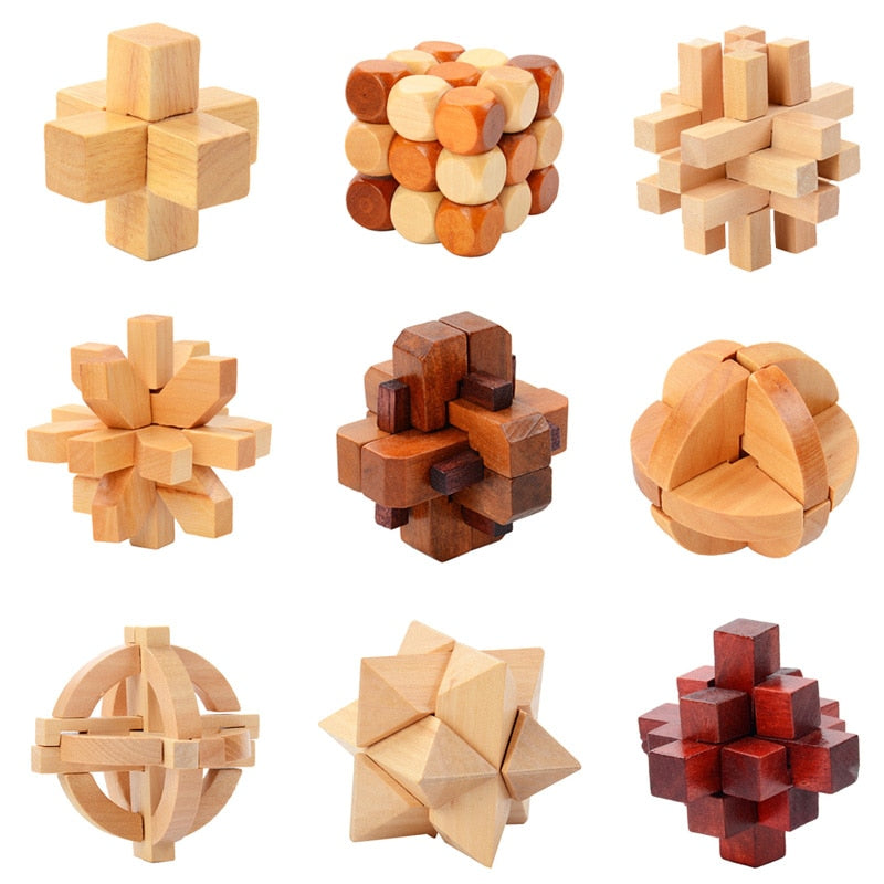 IQ Brain Teaser 3D Wooden Interlocking Puzzles