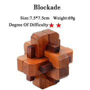 IQ Brain Teaser 3D Wooden Interlocking Puzzles