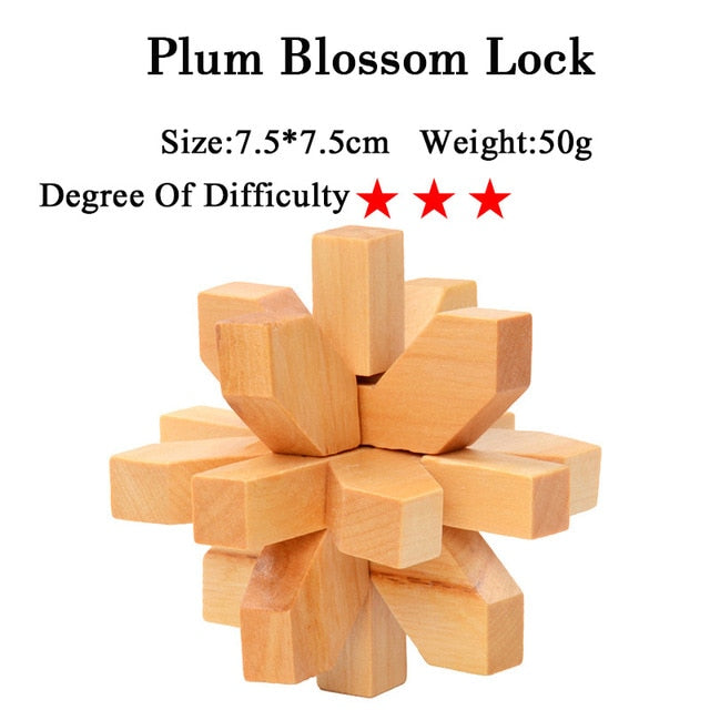 IQ Brain Teaser 3D Wooden Interlocking Puzzles