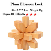 IQ Brain Teaser 3D Wooden Interlocking Puzzles