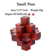 IQ Brain Teaser 3D Wooden Interlocking Puzzles
