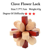 IQ Brain Teaser 3D Wooden Interlocking Puzzles