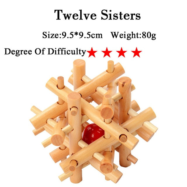 IQ Brain Teaser 3D Wooden Interlocking Puzzles