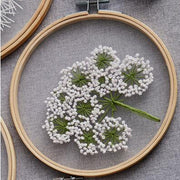 Mesh White Flowers DIY Embroidery Kit