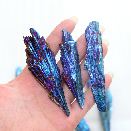 One Petrified Pixie Wing