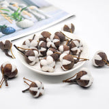 12 Artificial Cotton Flowers - Woodland Gatherer