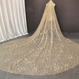 Glittery Sequins Dust Sparkling Champagne Wedding Bridal Veil 3 M Long