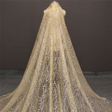 Glittery Sequins Dust Sparkling Champagne Wedding Bridal Veil 3 M Long