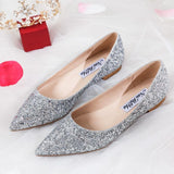 Glittery Ombre Womens Flat Ballet Shoes | Pointed Toe Flats | Small & Large Sizes - Woodland Gatherer