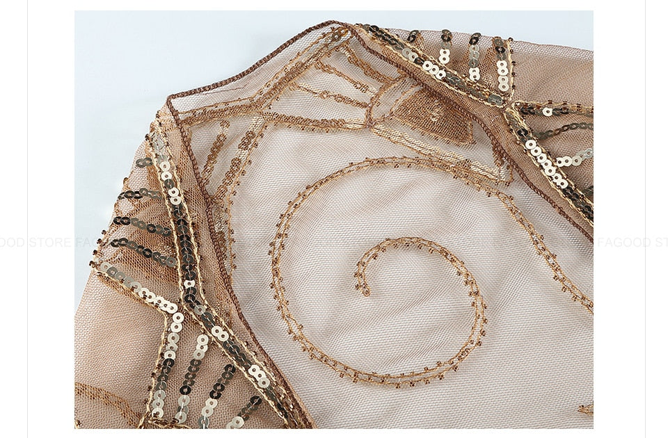 Sequinned 1920s Fringed Evening Shawl
