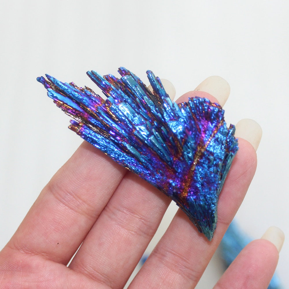 One Petrified Pixie Wing
