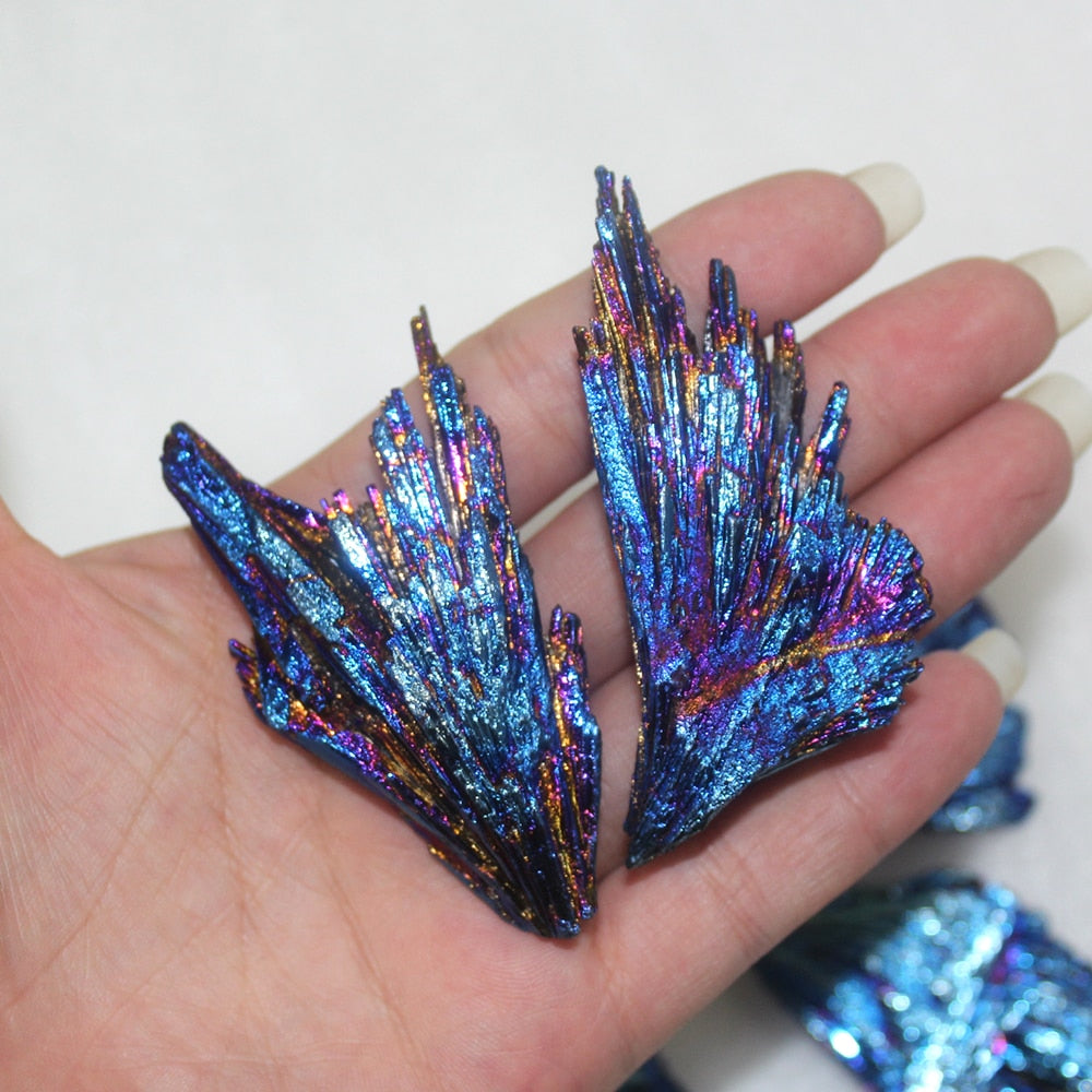 One Petrified Pixie Wing