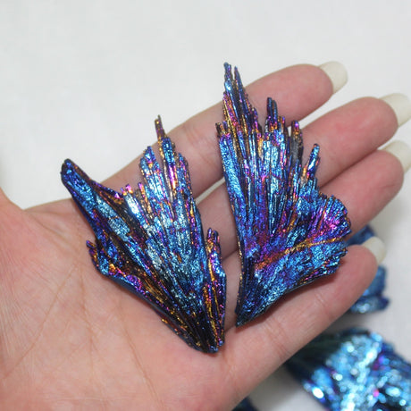 One Petrified Pixie Wing