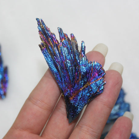 One Petrified Pixie Wing