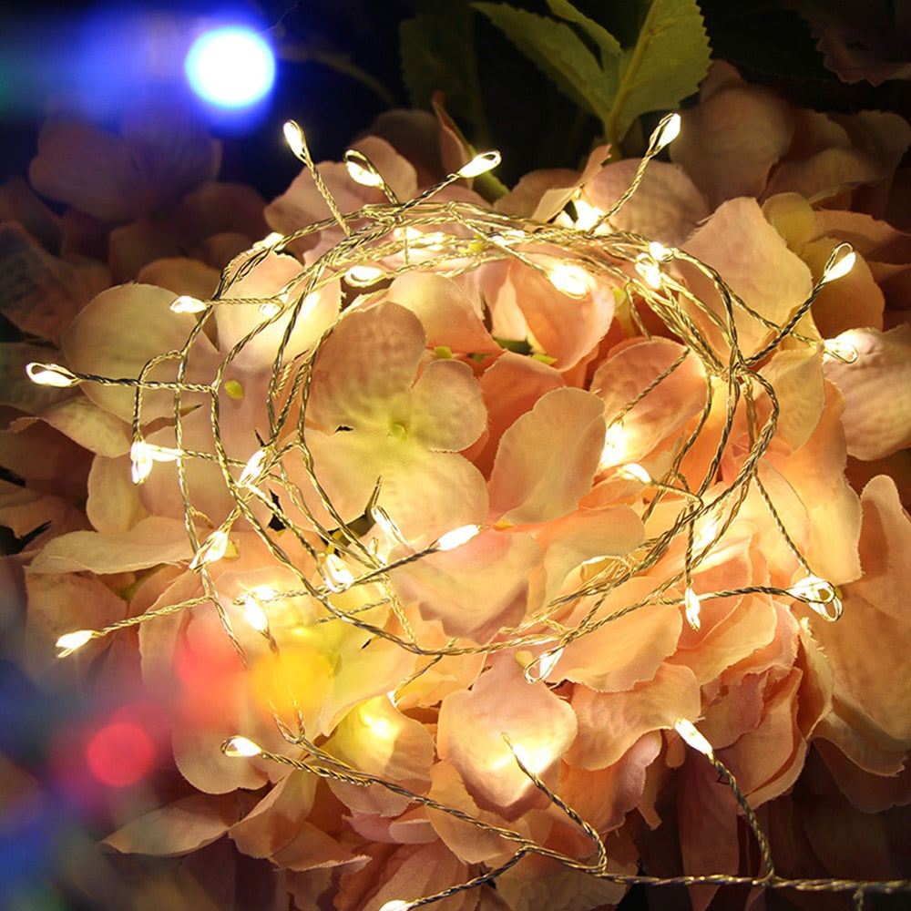 Outdoor Waterproof String Light LED Fairy Lights