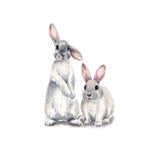 Two Cute Rabbits Removable Wall Stickers