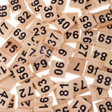 100pcs Wooden Number Tiles Blocks | Kids Educational Toy - Woodland Gatherer