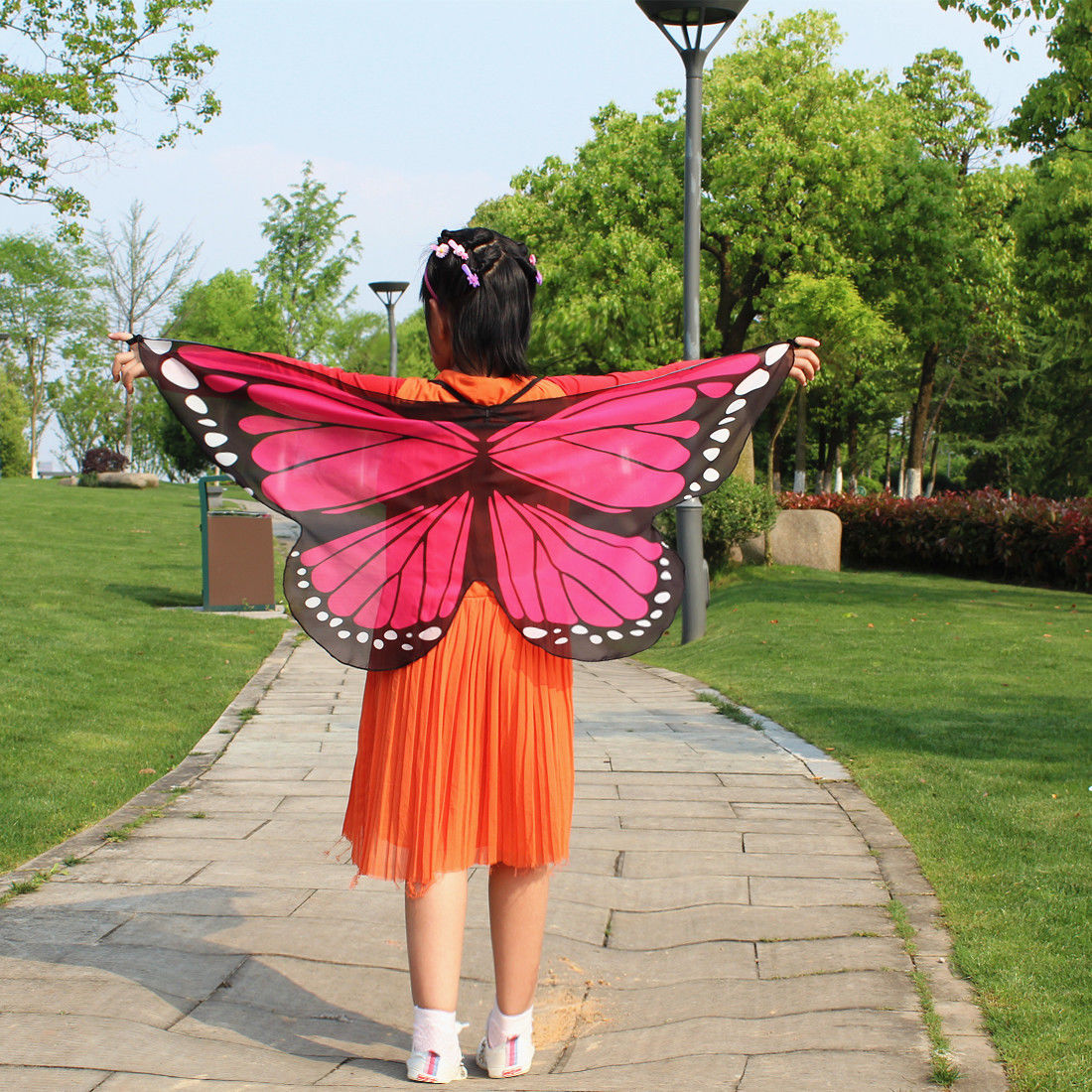 Butterfly Wings Dress Up