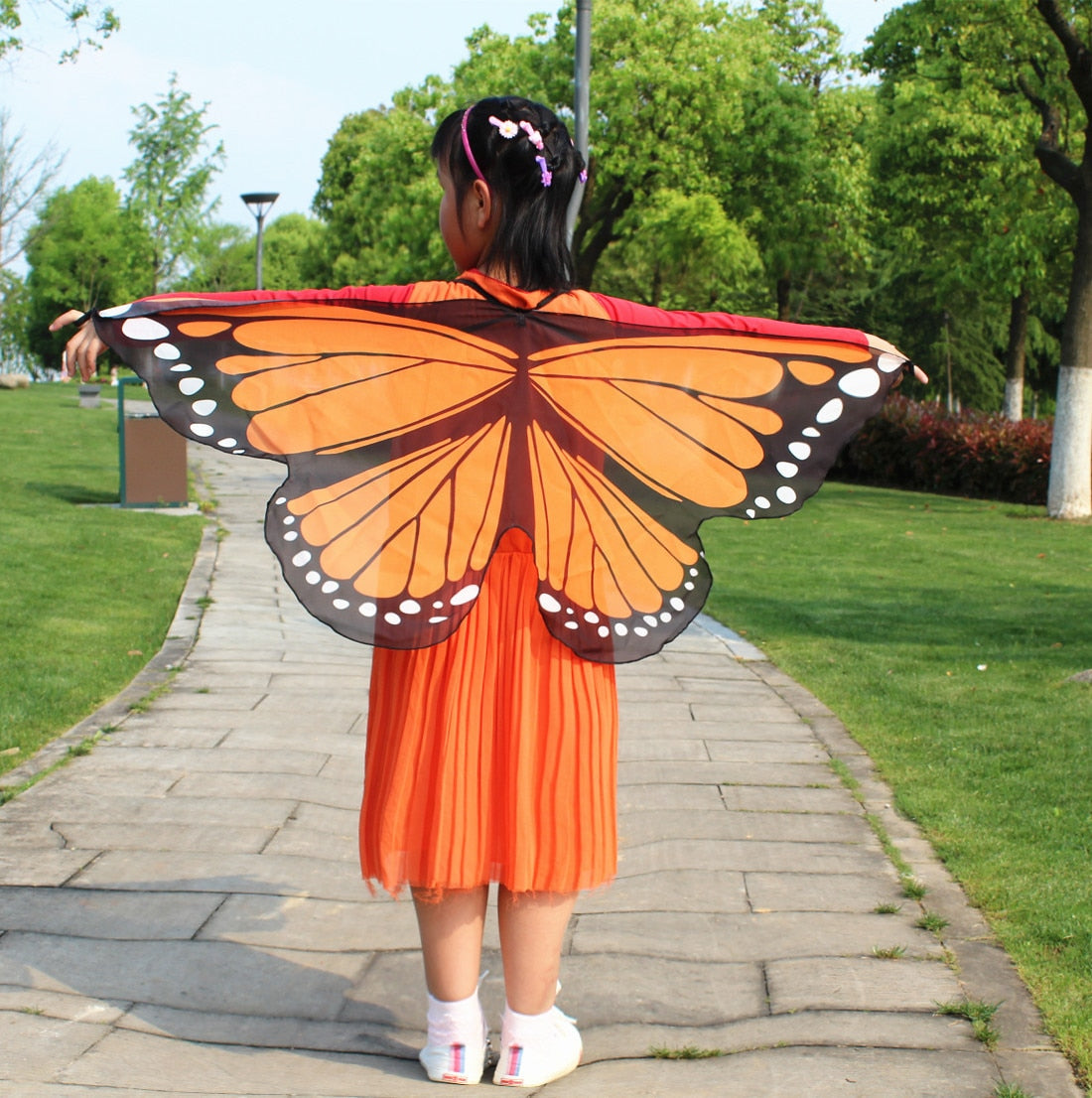 Butterfly Wings Dress Up