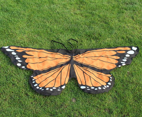 Butterfly Wings Dress Up