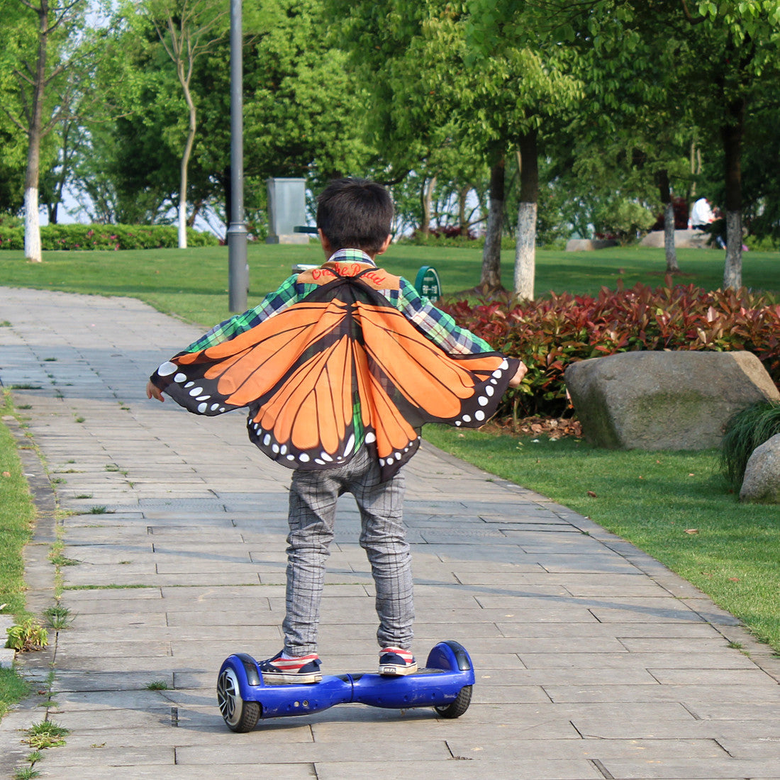Butterfly Wings Dress Up