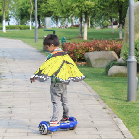 Butterfly Wings Dress Up