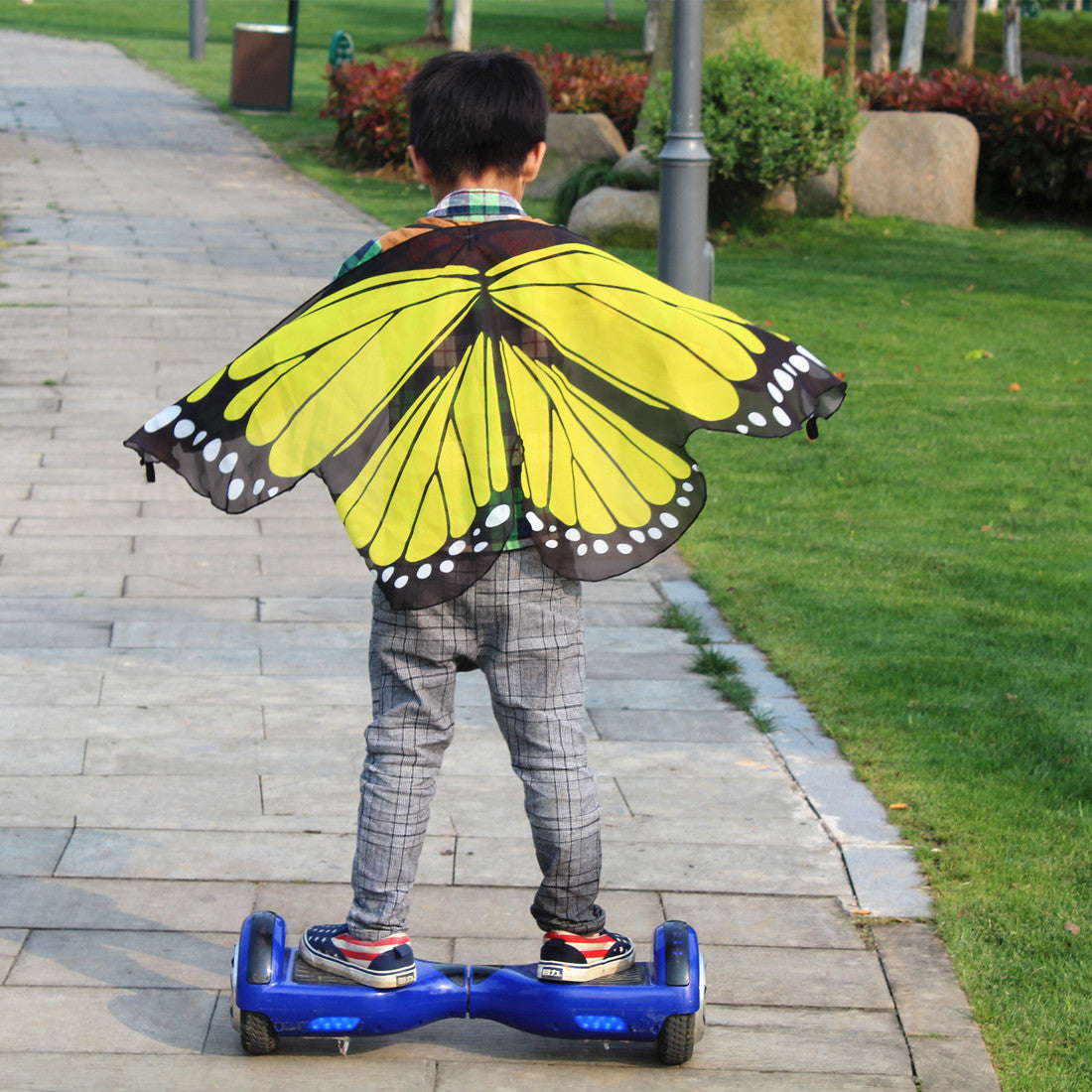 Butterfly Wings Dress Up