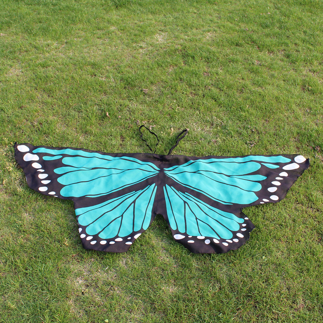 Butterfly Wings Dress Up