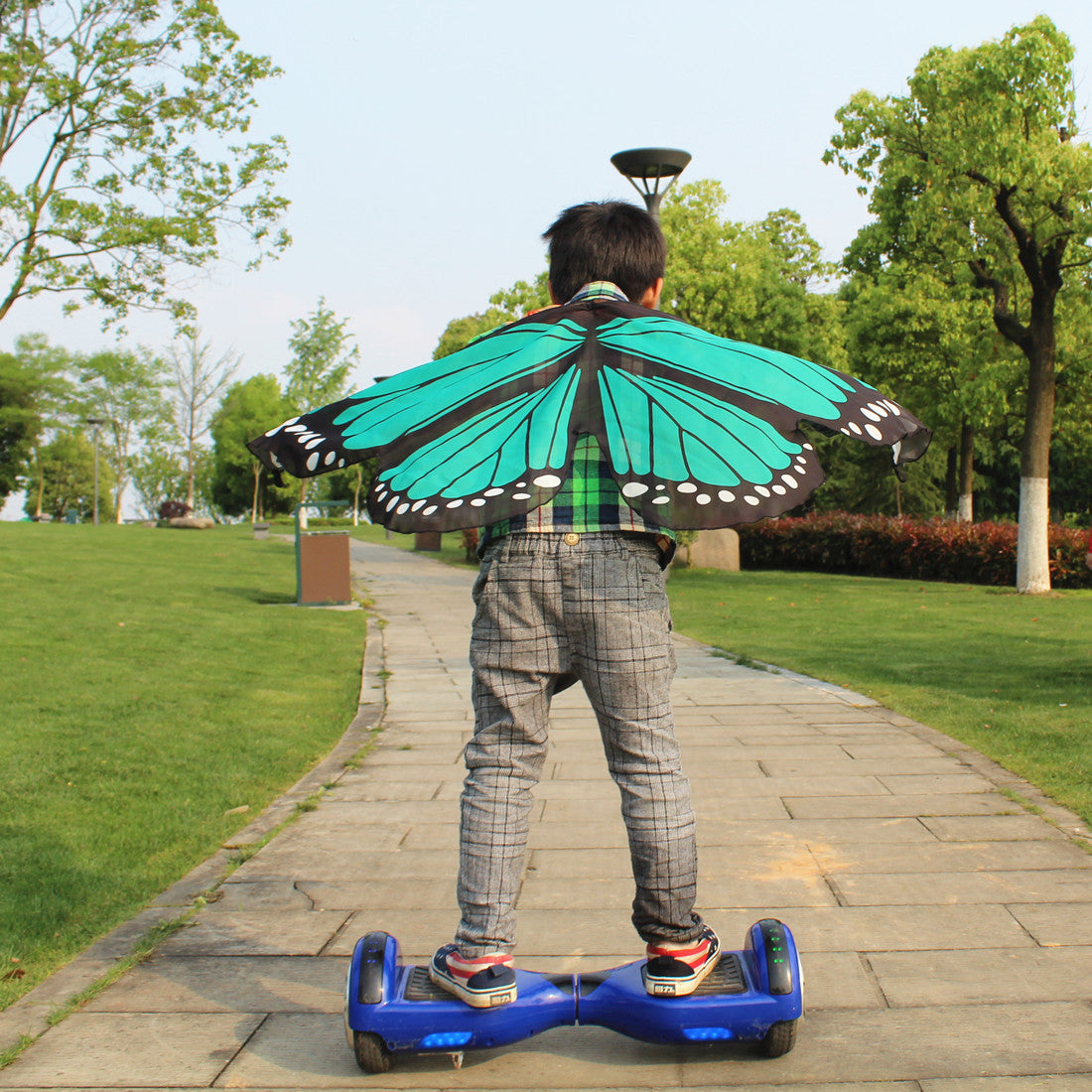 Butterfly Wings Dress Up