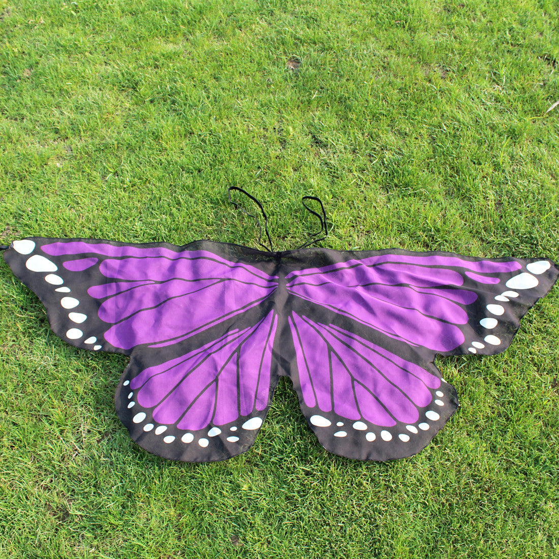 Butterfly Wings Dress Up