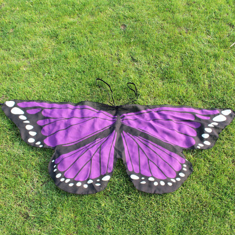 Butterfly Wings Dress Up