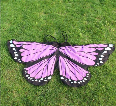Butterfly Wings Dress Up