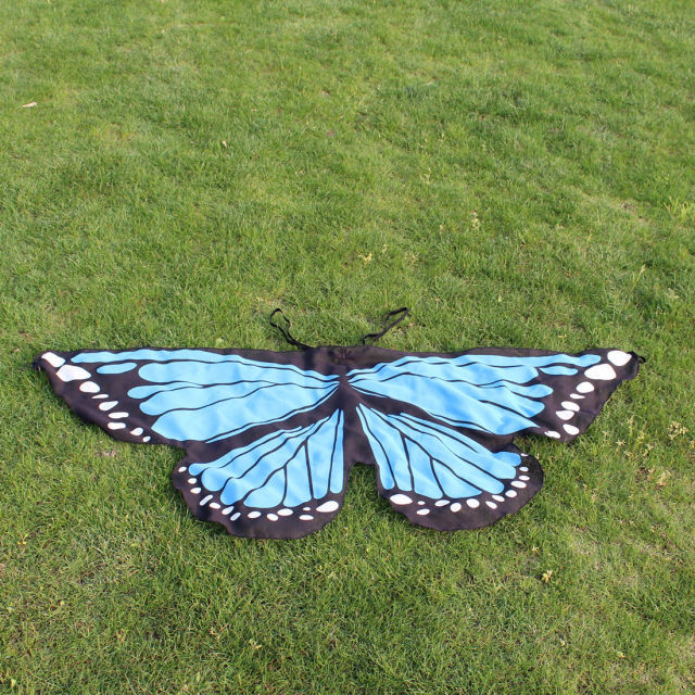 Butterfly Wings Dress Up