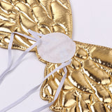 Shiny Metallic Angel Wings