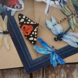 40pcs Insects Ladybug Beetle Dragonfly Bee Frames PVC Stickers Scrapbooking Craft