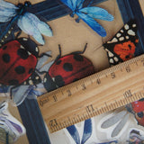 40pcs Insects Ladybug Beetle Dragonfly Bee Frames PVC Stickers Scrapbooking Craft