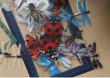 40pcs Insects Ladybug Beetle Dragonfly Bee Frames PVC Stickers Scrapbooking Craft