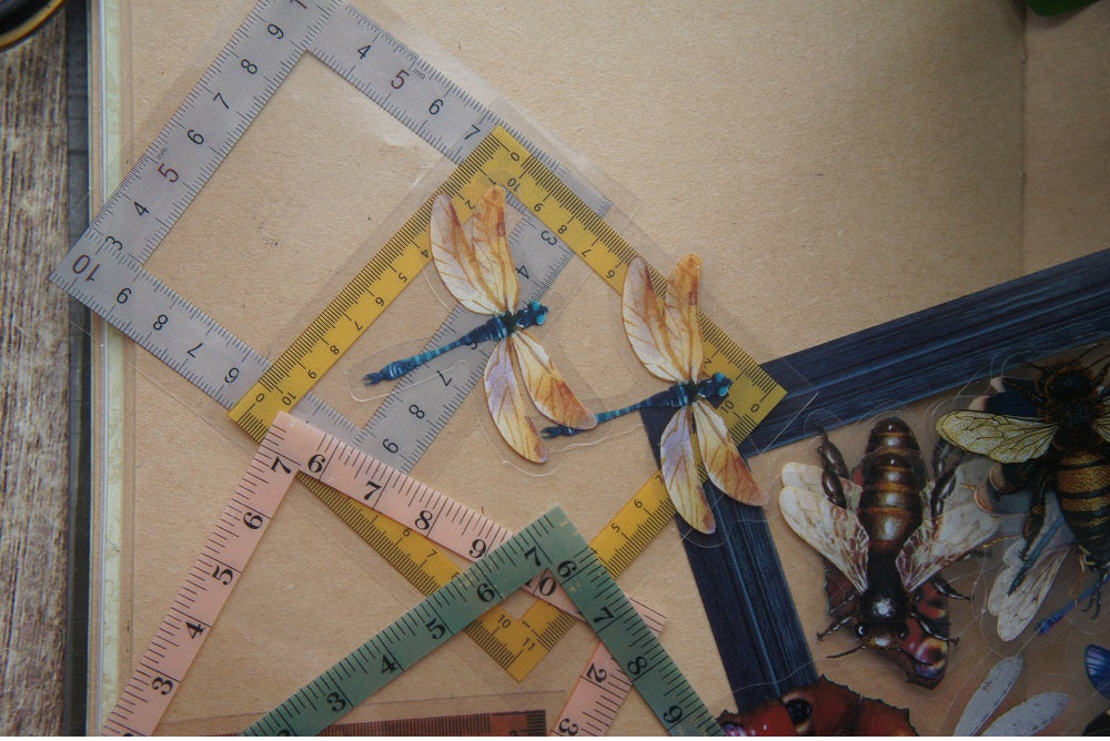 40pcs Insects Ladybug Beetle Dragonfly Bee Frames PVC Stickers Scrapbooking Craft