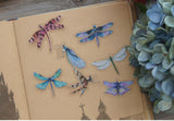 38pcs Mixed Dragonfly PVC Stickers Scrapbooking DIY Crafts