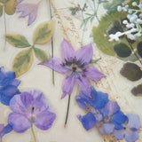 38pcs Purple Flower Orchid Wildflowers PVC Stickers Scrapbooking Craft