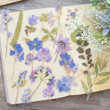 38pcs Purple Flower Orchid Wildflowers PVC Stickers Scrapbooking Craft