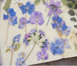 38pcs Purple Flower Orchid Wildflowers PVC Stickers Scrapbooking Craft