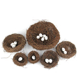 Bird Nests Decor and Props