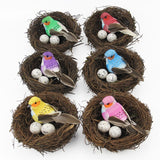 Bird Nests Decor and Props