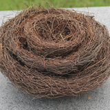 Bird Nests Decor and Props